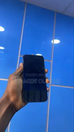 Apple iPhone 15 Pro Max 256 GB Gray