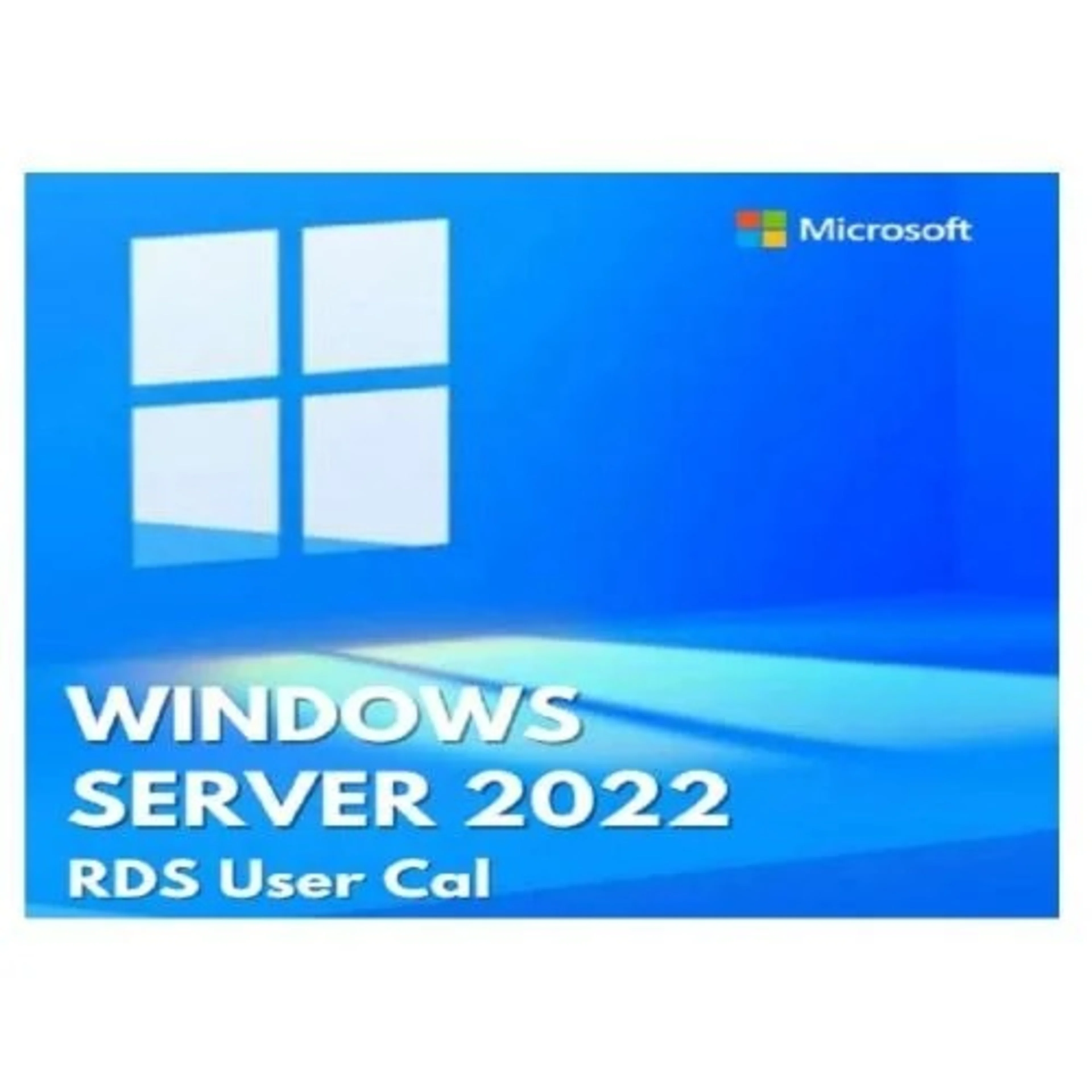 Microsoft Windows Server 2022 Remote Desktop Service...