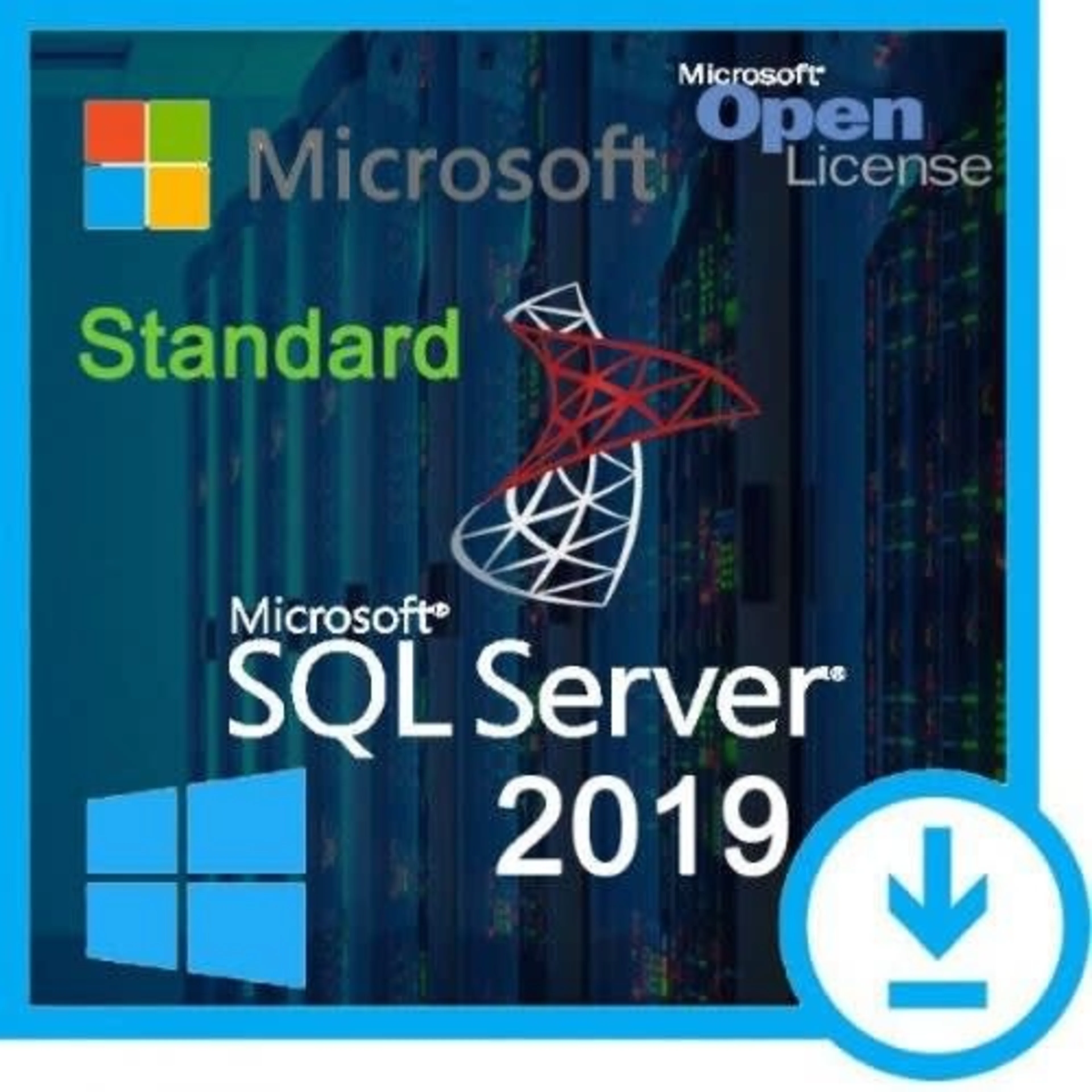 Microsoft SQL Server 2019 Standard Edition
