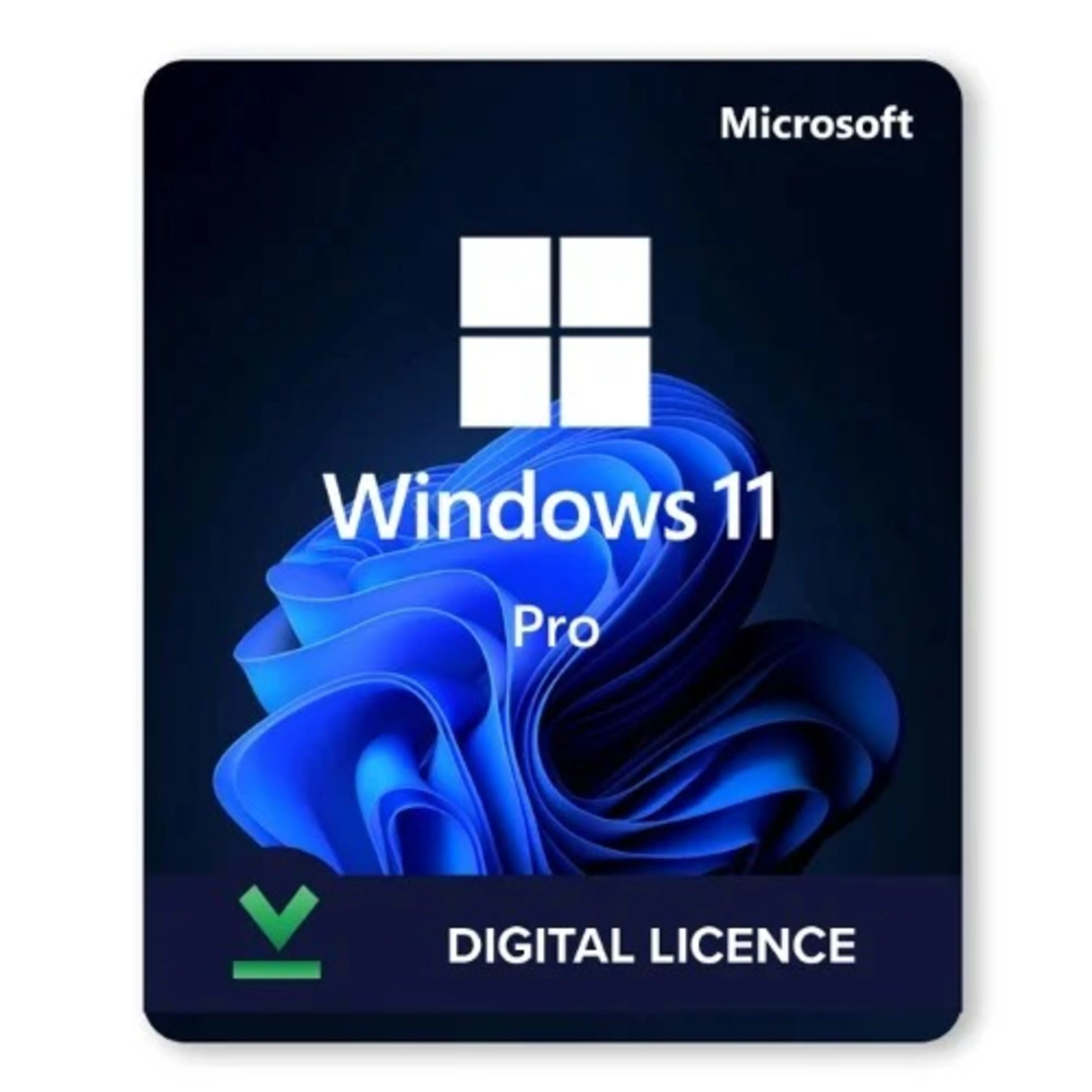 Microsoft Window 11 Professional Lifetime License